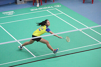 Badminton history
