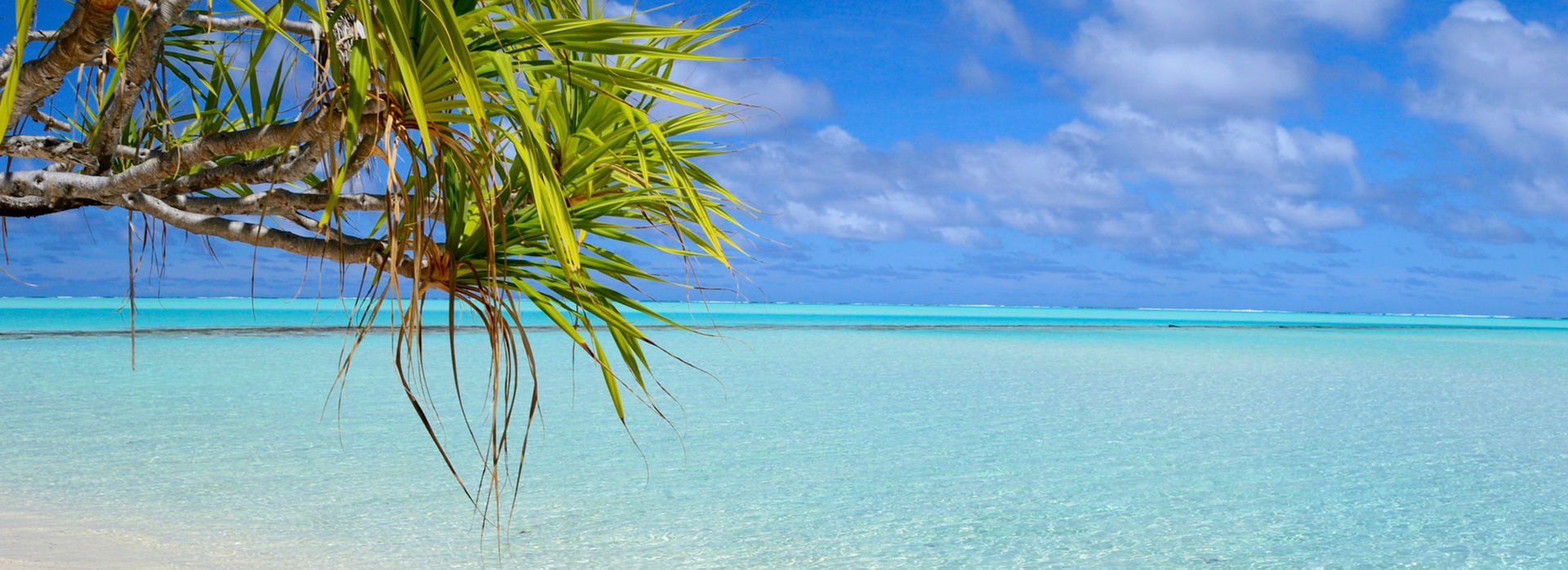 Bec's first famil in the Cook Islands May 2019