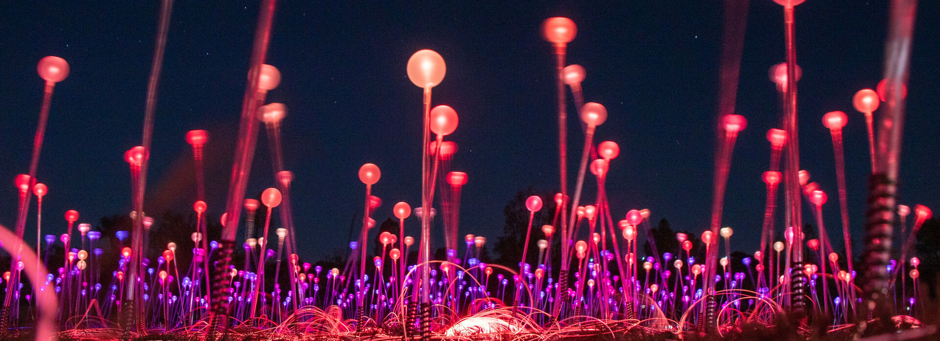 Filed of lights up close 