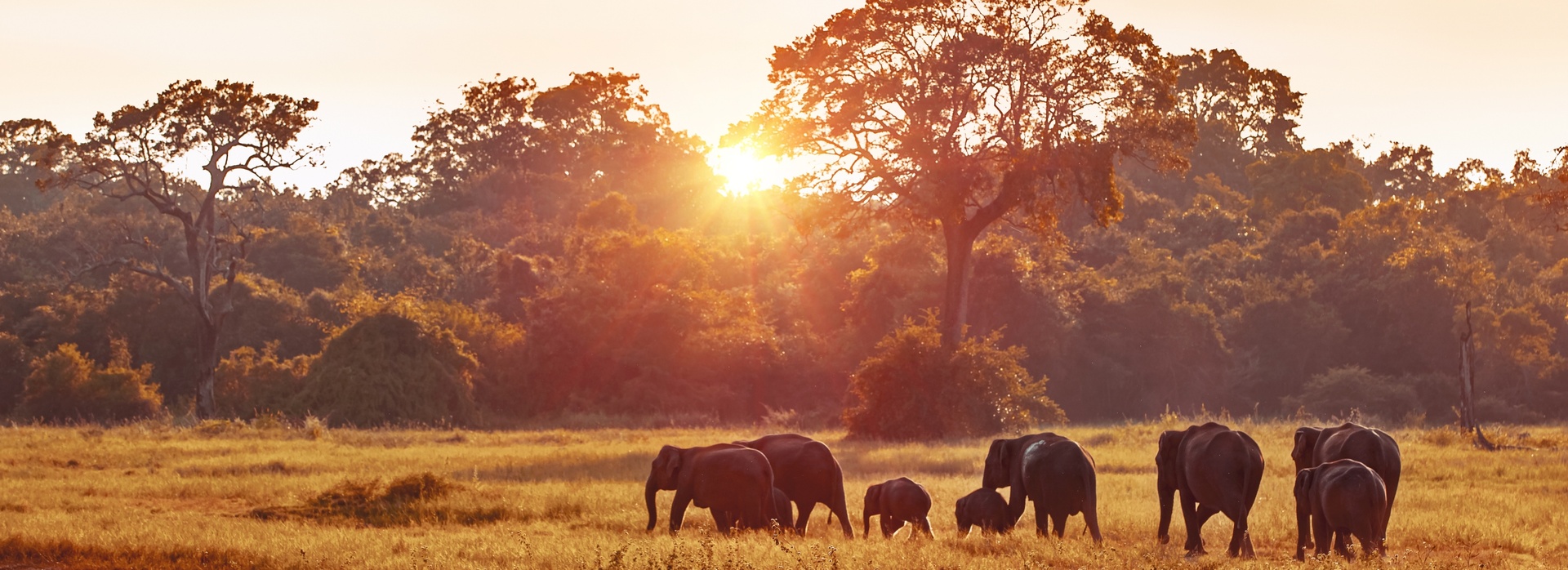 Exploring Landscapes with Wildlife: How to Navigate for Everyone’s Safety