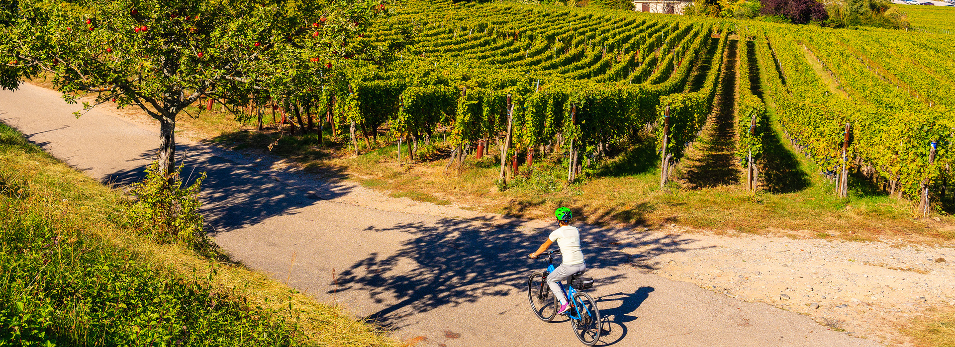 Discover France on Two Wheels