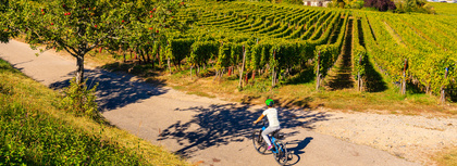 Discover France on Two Wheels