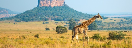 South Africa's Mega Lekker Escape 