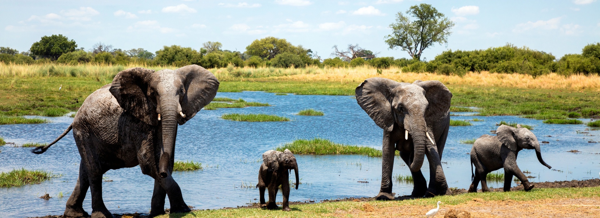 Chobe National Park