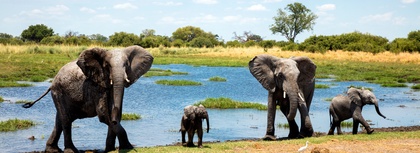 Zambia, Botswana & The Okavango Delta