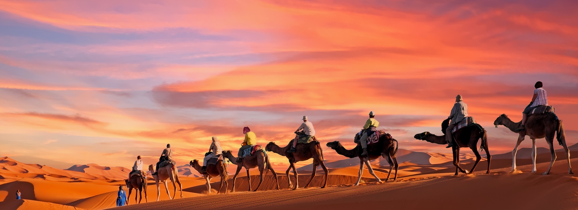 Morocco and Camels