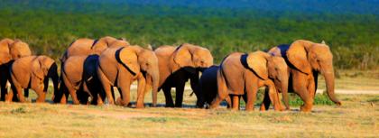 Our Safari Adventure in Zimbabwe, Botswana & Namibia by Natalie Pease & Cath Alston