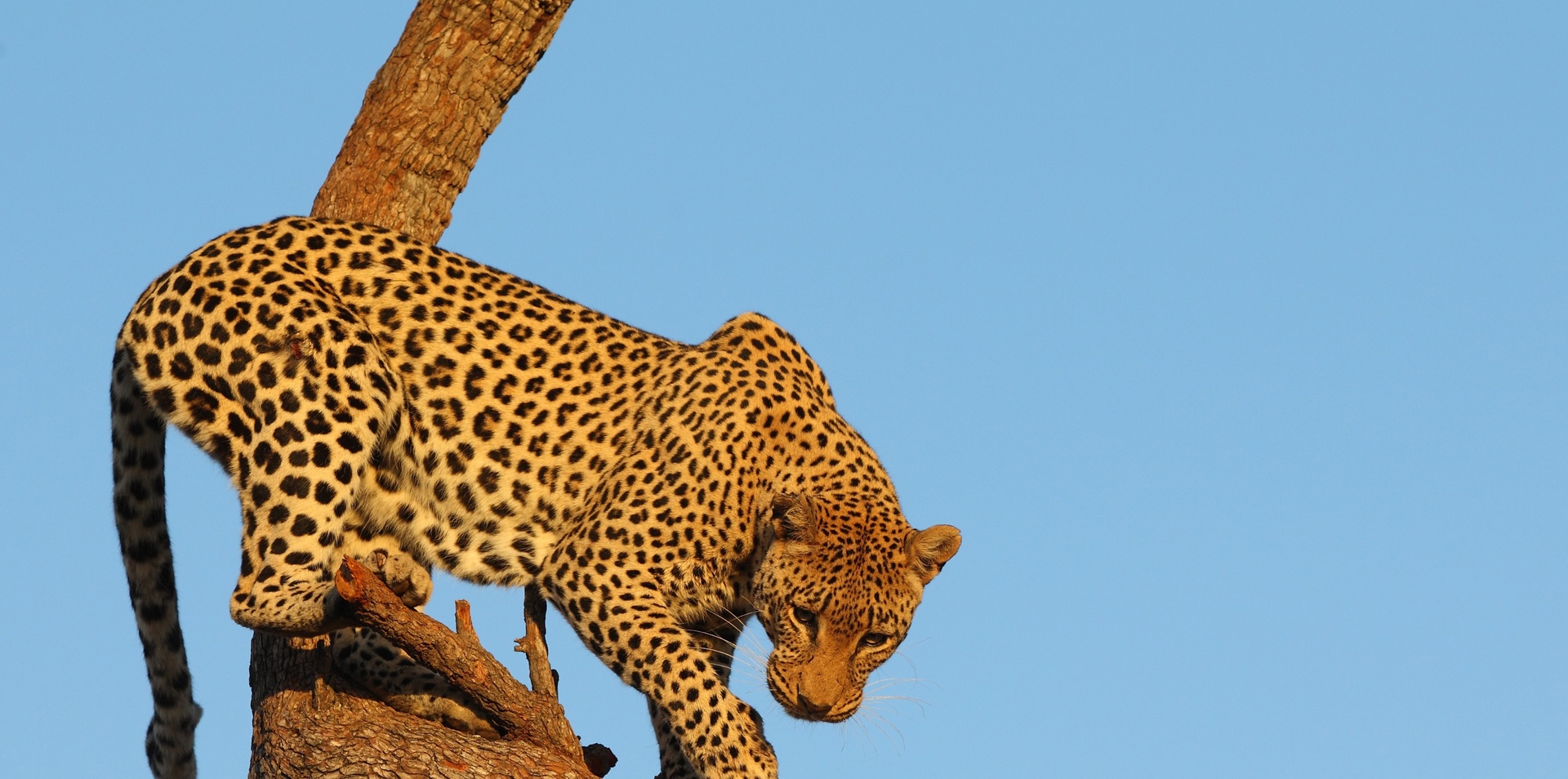 The Best of Zimbabwe, Botswana & Namibia