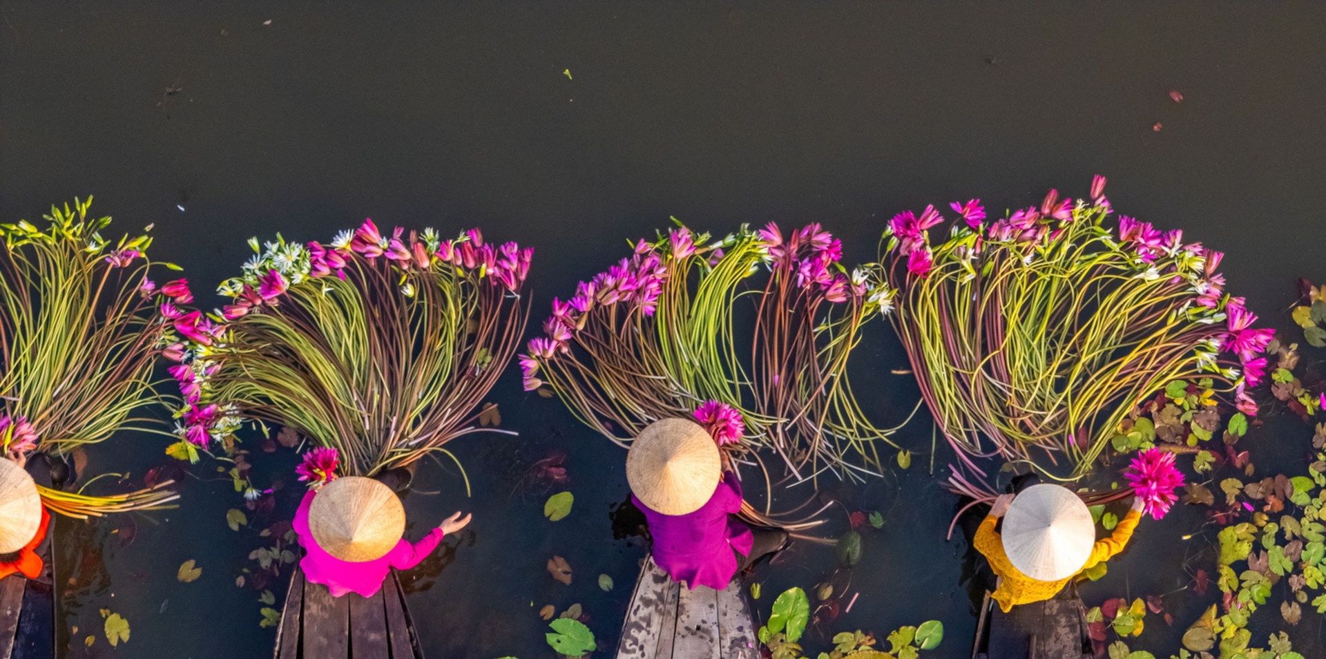 Fascinating Vietnam, Cambodia & the Mekong River