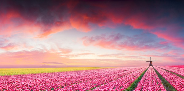 Europe’s Best by River & Ocean – Rhine, Iceland & Scotland Couples, ocean cruise and river cruise holiday experience