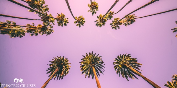 Hollywood to the Opera House Couples and ocean cruise holiday experience